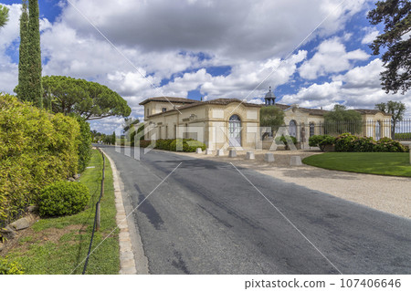 Typical vineyards near Chateau Petrus, Pomerol, Aquitaine, France 107406646