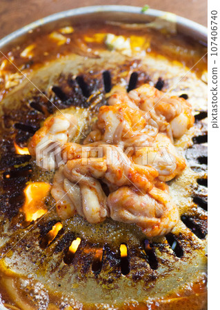 grill beef offal 107406740