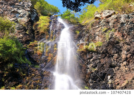 [Kagawa Prefecture] Autumn Fudotaki Country Park 107407428