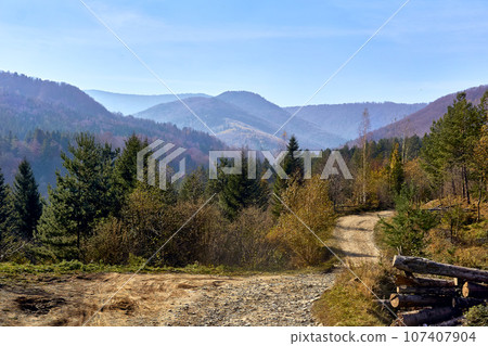 Rural dirt road in the autumn foothills Rural dirt road in the autumn foothills 107407904