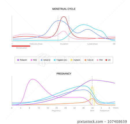 Hormones in pregnancy 107408639