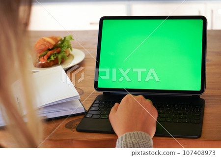 Back view of women using laptop computer blank green screen. chroma key monitor. businesswoman working on notebook. Back view of women using laptop computer blank green screen. chroma key monitor. businesswoman working on notebook. 107408973