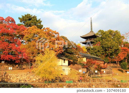 興福寺五層塔秋葉 107409180