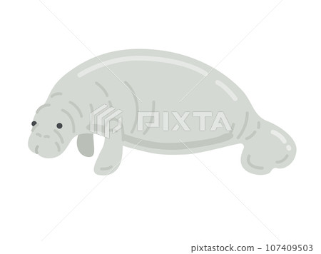 Manatees illustration 107409503