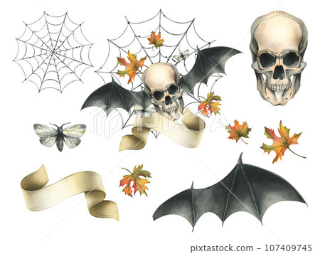 Human skull with bat wings, moth, paper scroll, witch hat, cobweb and autumn maple leaves. Hand drawn watercolor illustration for Halloween. Isolated composition on a white background. 107409745