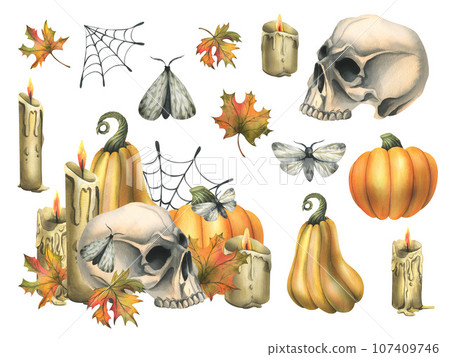 Human skull with orange pumpkins, candles, night moths, cobwebs and autumn leaves. Hand drawn watercolor illustration for Halloween and Day of the Dead. Set of isolated elements on a white background Human skull with orange pumpkins, candles, night moths, cobwebs and autumn leaves. Hand drawn watercolor illustration for Halloween and Day of the Dead. Set of isolated elements on a white background 107409746