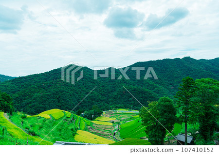 香川縣 小豆島 中山千枚田 香川縣 小豆島 中山千枚田 107410152