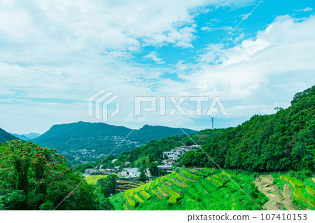 香川縣 小豆島 中山千枚田 香川縣 小豆島 中山千枚田 107410153