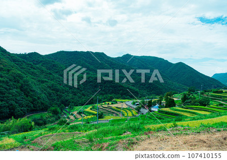香川縣 小豆島 中山千枚田 香川縣 小豆島 中山千枚田 107410155