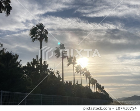 Landscape at dusk 107410754