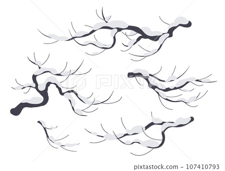 Snow Covered Tree Branches Isolated on White Snow Covered Tree Branches Isolated on White 107410793