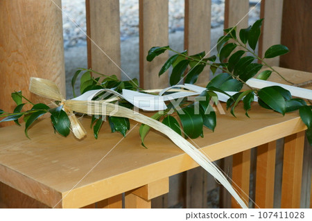 Sakaki Sakaki 107411028