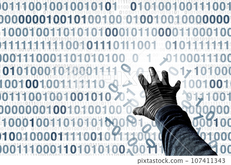 Digital Privacy Risk Digital Privacy Risk 107411343