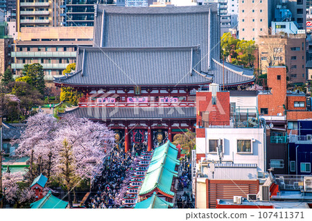Tokyo cityscape in Japan Sensoji Temple is crowded in spring. It's up to individual judgment...The crowd is booming before the coronavirus pandemic, the number of foreigners is rapidly increasing, and we are entering an era of hope. Tokyo cityscape in Japan Sensoji Temple is crowded in spring. It's up to individual judgment...The crowd is booming before the coronavirus pandemic, the number of foreigners is rapidly increasing, and we are entering an era of hope. 107411371
