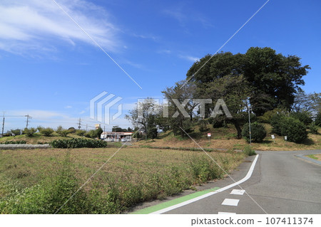 Monjuyama Tumulus and Amidayama Tumulus Monjuyama Tumulus and Amidayama Tumulus 107411374