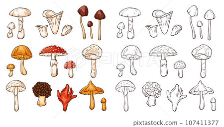 Inedible mushrooms set in line art style. Collection of colorful and monochrome mushrooms. Vector illustration isolated on a white background. Inedible mushrooms set in line art style. Collection of colorful and monochrome mushrooms. Vector illustration isolated on a white background. 107411377