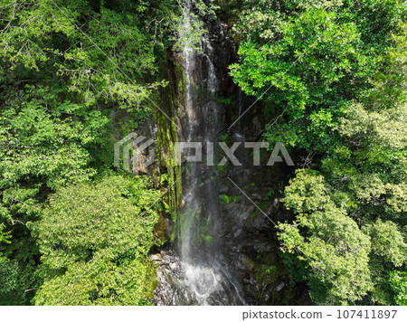Amagataki Falls, Matsuno Town, Ehime Prefecture Amagataki Falls, Matsuno Town, Ehime Prefecture 107411897