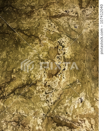 Majestic Textures and Form of Tiles 107412040