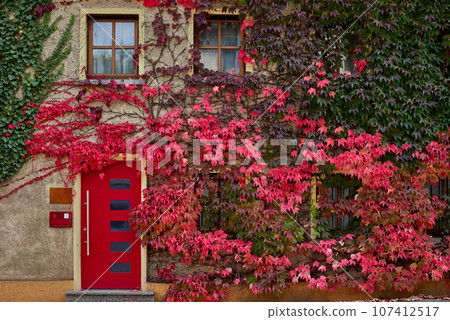 Sidewalk along houses and parked cars in an urban area with low-rise private houses. Suburban House among autumn trees. Large manicured lawn and landscaping. Private house in the suburbs. Vacation in Sidewalk along houses and parked cars in an urban area with low-rise private houses. Suburban House among autumn trees. Large manicured lawn and landscaping. Private house in the suburbs. Vacation in 107412517