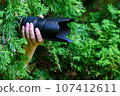 the paparazzi is hiding in the green bushes with a black camera. 107412611