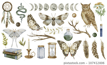 Mystical forest set. Watercolor illustration of an owl and moths. Hand drawn clip art bundle on isolated background. Drawing of Witch Magic collection. Sketch of butterflies and dream catcher. Mystical forest set. Watercolor illustration of an owl and moths. Hand drawn clip art bundle on isolated background. Drawing of Witch Magic collection. Sketch of butterflies and dream catcher. 107412806
