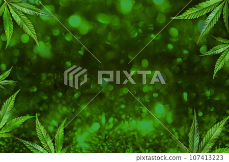Abstract festive green Christmas background with cannabis leaves Abstract festive green Christmas background with cannabis leaves 107413223