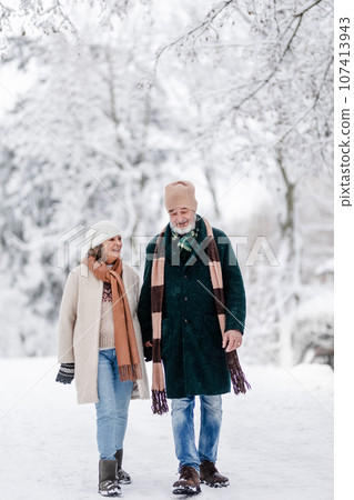 Elegant senior couple walking in the snowy park, during cold winter snowy day. 107413943