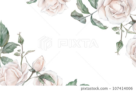 Watercolor white tea rose frame. hand drawing illustration , isolated white background, flower clipart. for design wedding invitations, anniversary, birthday, postcards, greetings 107414006