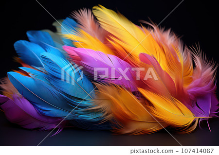 Brightl multi-colored feathers 107414087