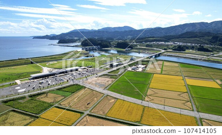 陸前高田市道之驛 高田松原 岩手縣 東日本大地震 3.11 107414105