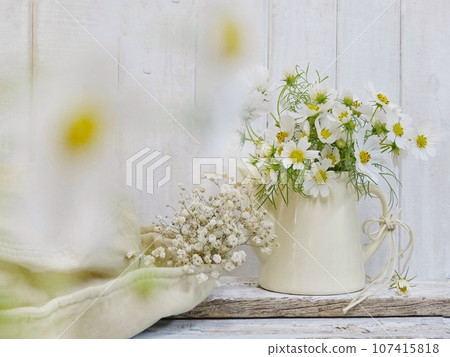 白色宇宙排列 107415818