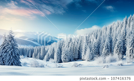 Scenic winter landscape with snow-covered fir spruce forest, Picturesque winter scene with snowy mountains in the background. Banner with copy space 107416376