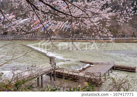 Shirataka Yana Park Mogami River Ayutopia, the largest Yana field roadside station in Japan, located on the Mogami River in Shirataka Town, Yamagata Prefecture 107417771