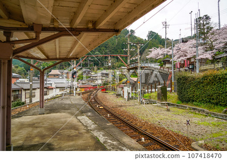 Limited Express Koya passing through Takayoshita Station Limited Express Koya passing through Takayoshita Station 107418470