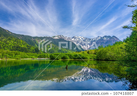 [Taisho Pond with vivid fresh greenery] Kamikochi in early summer 107418807