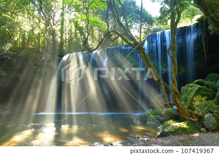 [熊本縣]鍋瀑布的夢幻水幕和燈光淋浴 107419367