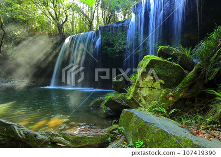 [Kumamoto Prefecture] Fantastic water curtain and light shower at Nabegataki Falls 107419390