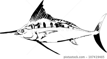 Illustration of fish print of swordfish tuna 107419485
