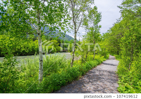 初夏的上高地【生動鮮綠色的散步路線】 初夏的上高地【生動鮮綠色的散步路線】 107419612