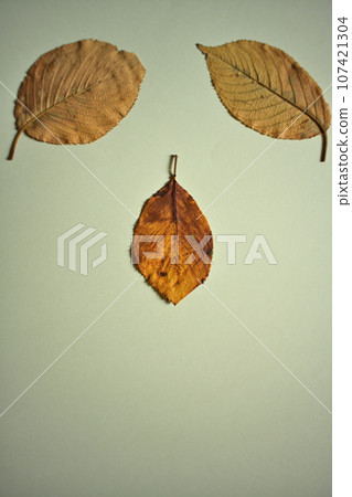 死櫻花葉的紀念品 死櫻花葉的紀念品 107421304