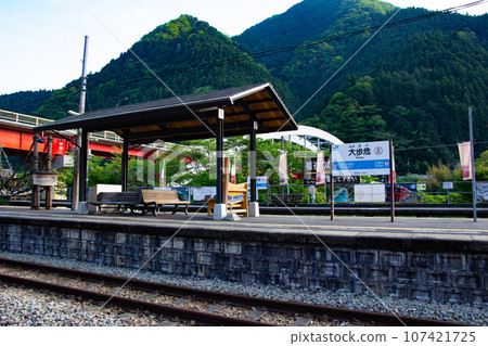 德島縣三好市西谷山村大步危站/德善西 107421725