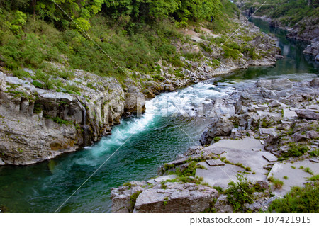 德島縣三好市西谷山村大步危峽/德禪 德島縣三好市西谷山村大步危峽/德禪 107421915
