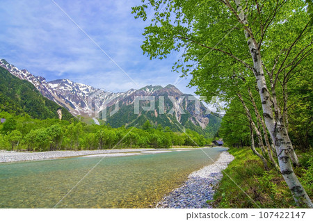 Kamikochi in early summer [promenade along the Azusa River with fresh greenery] 107422147