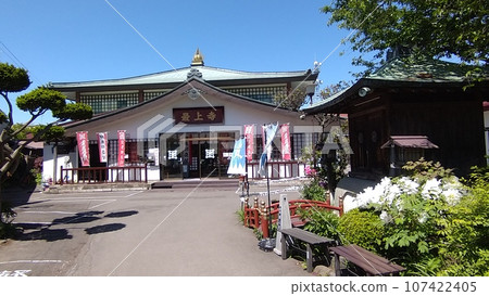 春天的五稜郭最上寺 107422405