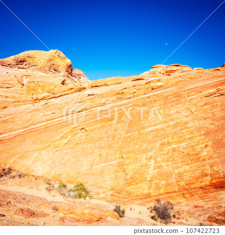 Moon over Valley of Fire 107422723