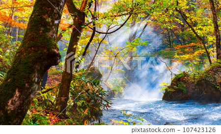 Oirase Stream (Autumn) Oirase Stream (Autumn) 107423126