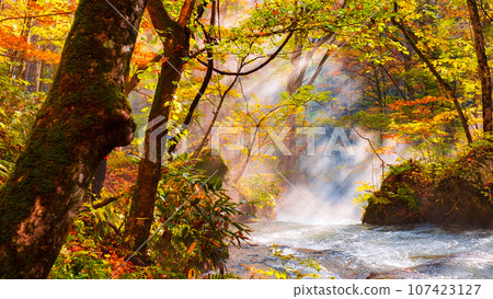 Oirase Stream (Autumn) 107423127