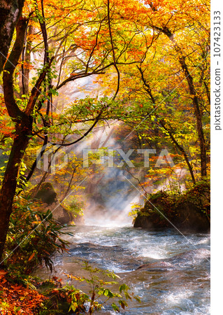 Oirase Stream (Autumn) Oirase Stream (Autumn) 107423133