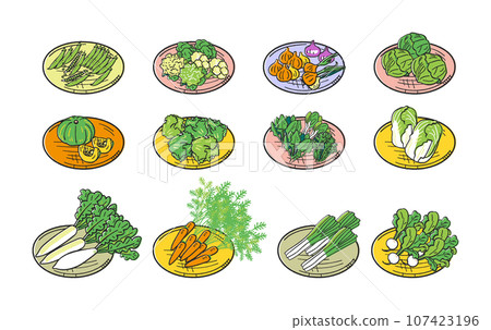 Autumn/winter sowing vegetables Bunch of vegetables on a colander set Illustration material 107423196