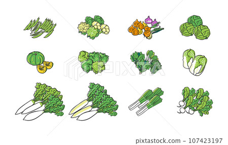 Autumn/winter sowing vegetables bunch of vegetables set illustration material 107423197